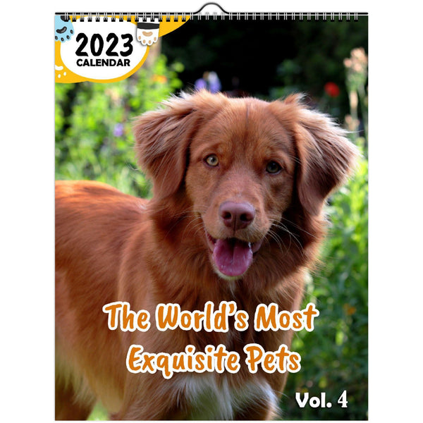 The World's Most Exquisite Pets Volume Four: 2023 Wall Calendar