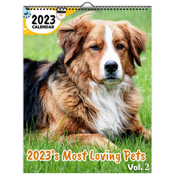 2023's Most Loving Pets Volume Two: 2023 Wall Calendar