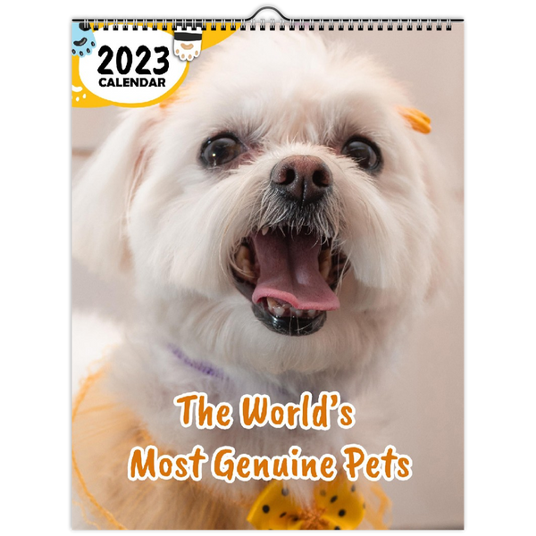 The World's Most Genuine Pets: 2023 Wall Calendar