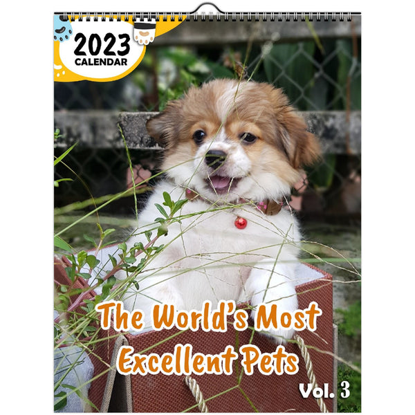 The World's Most Excellent Pets Volume Three: 2023 Wall Calendar