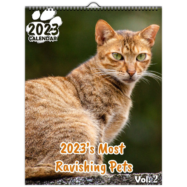 2023's Most Ravishing Pets Volume Two: 2023 Wall Calendar