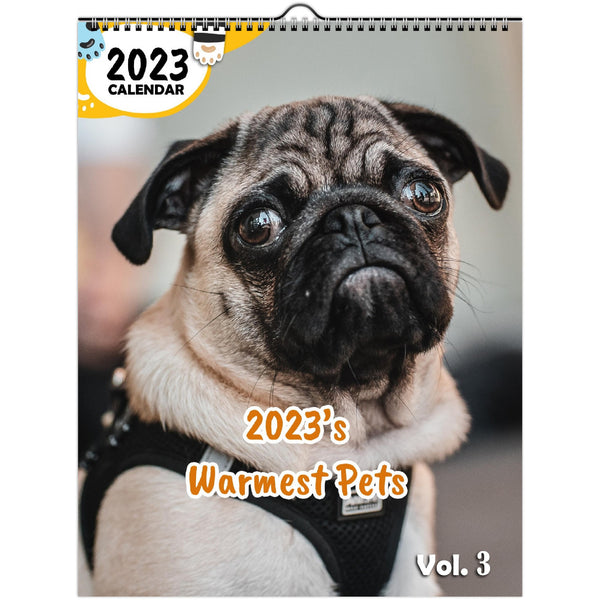 2023's Warmest Pets Volume Three: 2023 Wall Calendar