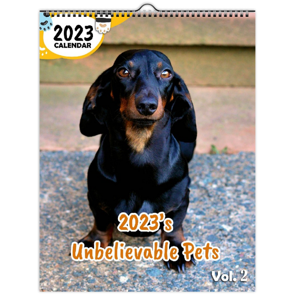 2023's Unbelievable Pets Volume Two: 2023 Wall Calendar