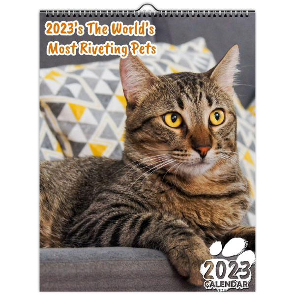 2023's The World's Most Riveting Pets: 2023 Wall Calendar