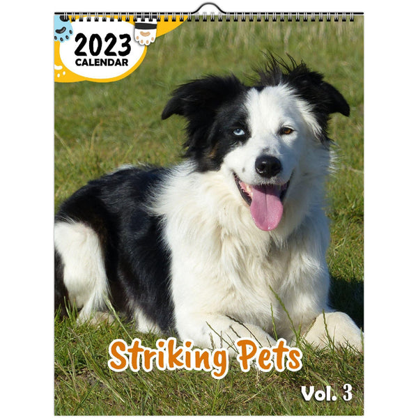 Striking Pets Volume Three: 2023 Wall Calendar