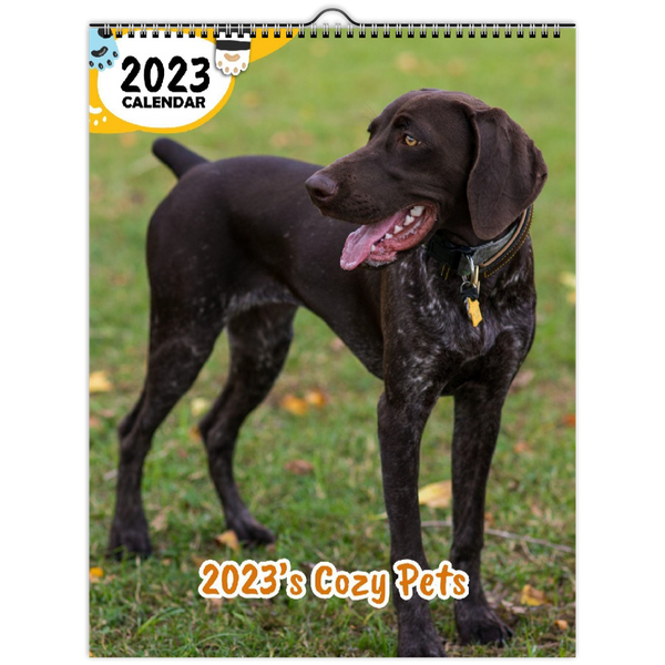 2023's Cozy Pets: 2023 Wall Calendar