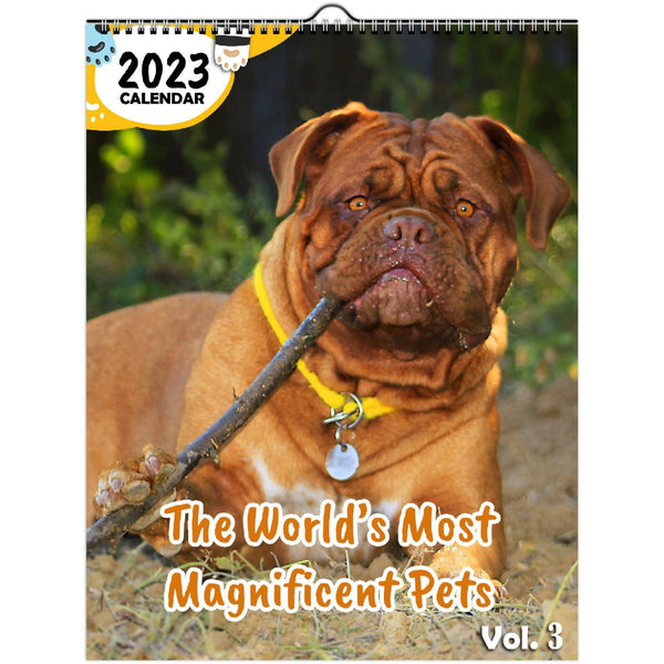 The World's Most Magnificent Pets Volume Three: 2023 Wall Calendar