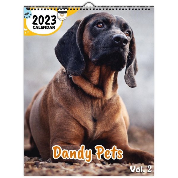 Dandy Pets Volume Two: 2023 Wall Calendar