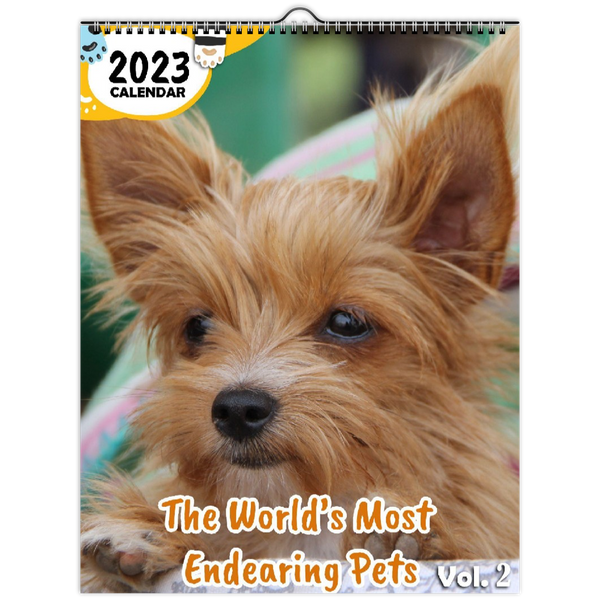 The World's Most Endearing Pets Volume Two: 2023 Wall Calendar