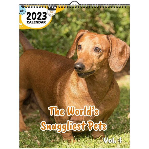 The World's Snuggliest Pets Volume Four: 2023 Wall Calendar