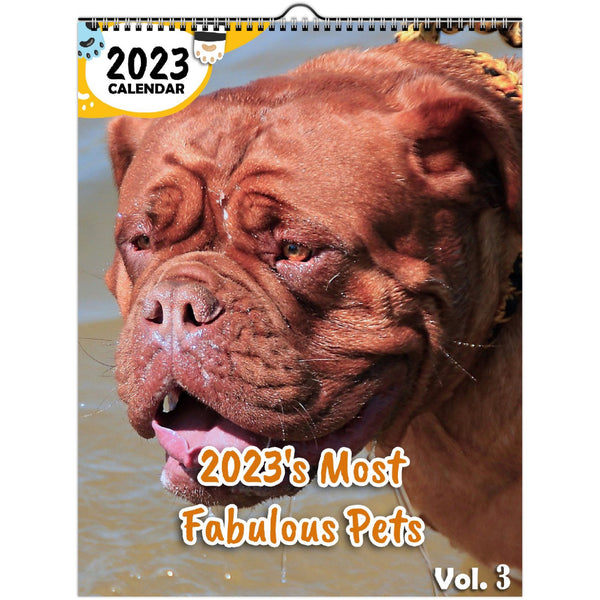 2023's Most Fabulous Pets Volume Three: 2023 Wall Calendar