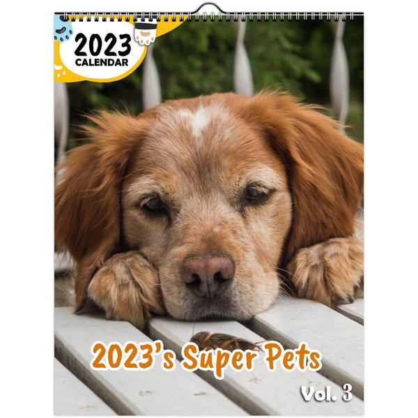 2023's Super Pets Volume Three: 2023 Wall Calendar