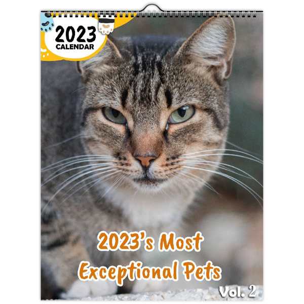 2023's Most Exceptional Pets Volume Two: 2023 Wall Calendar
