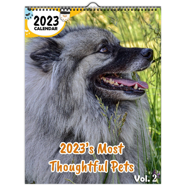 2023's Most Thoughtful Pets Volume Two: 2023 Wall Calendar