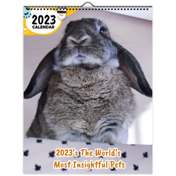 2023's The World's Most Insightful Pets: 2023 Wall Calendar