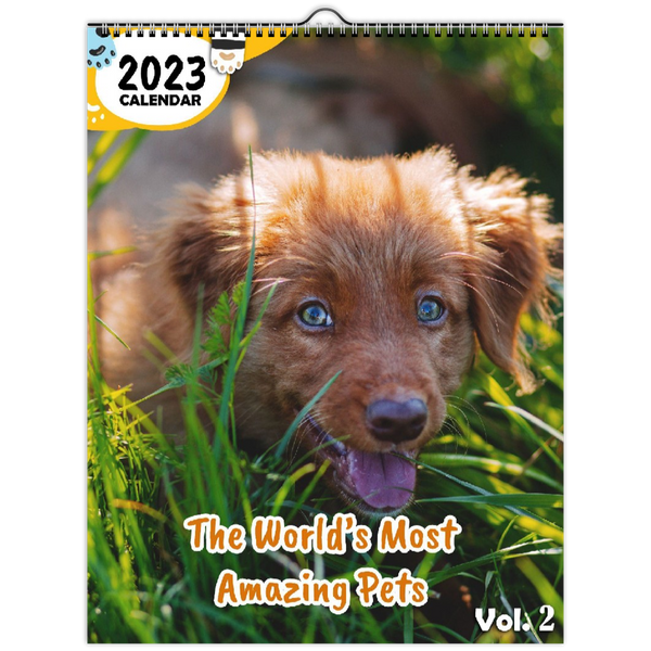 The World's Most Amazing Pets Volume Two: 2023 Wall Calendar