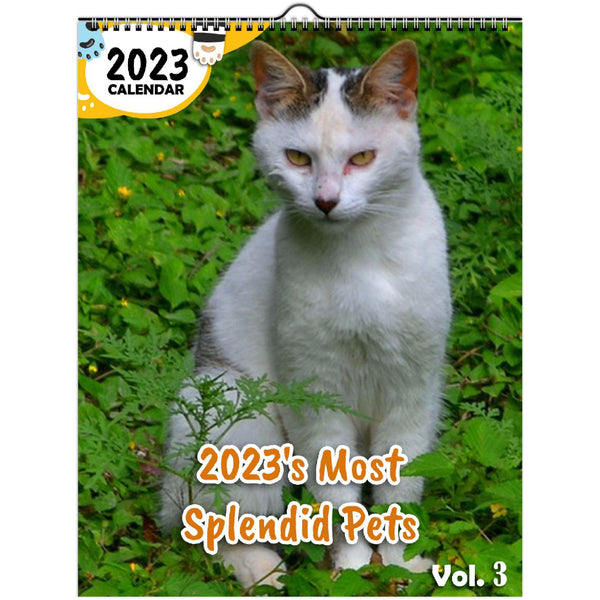2023's Most Splendid Pets Volume Three: 2023 Wall Calendar
