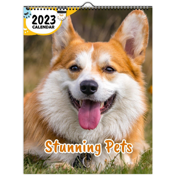 Stunning Pets: 2023 Wall Calendar