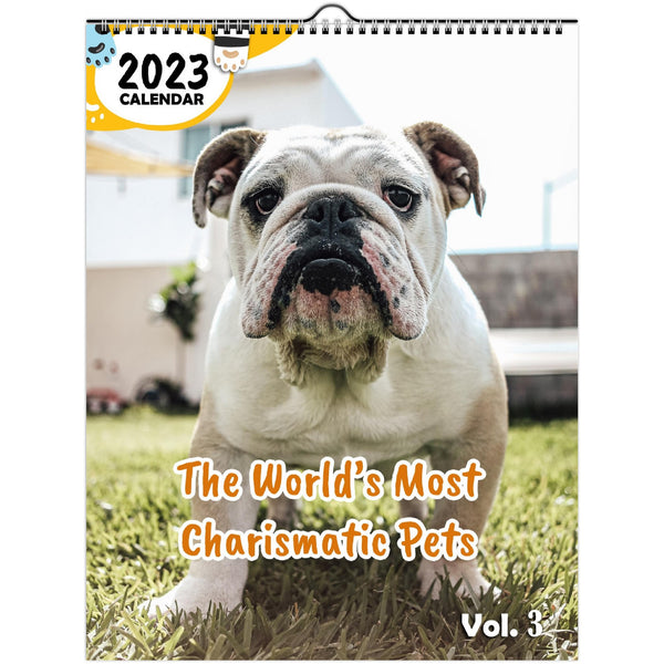 The World's Most Charismatic Pets Volume Three: 2023 Wall Calendar