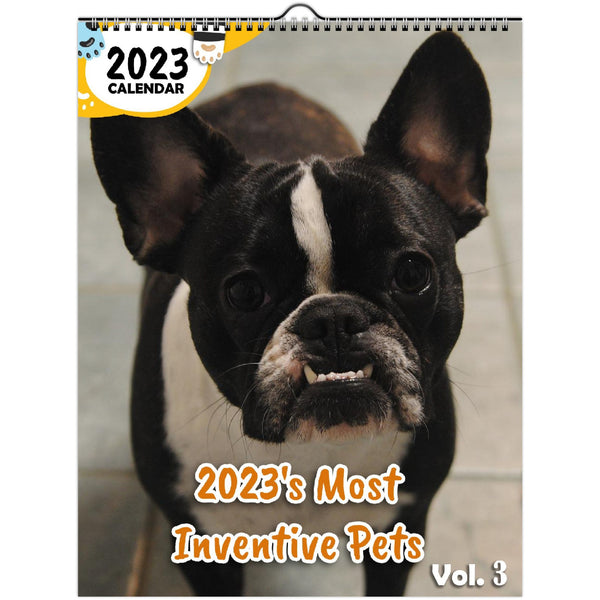 2023's Most Inventive Pets Volume Three: 2023 Wall Calendar