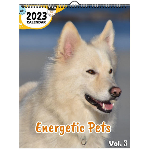 Energetic Pets Volume Three: 2023 Wall Calendar