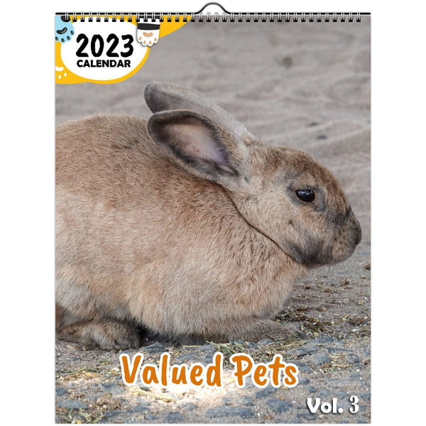 Valued Pets Volume Three: 2023 Wall Calendar