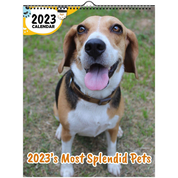 2023's Most Splendid Pets: 2023 Wall Calendar