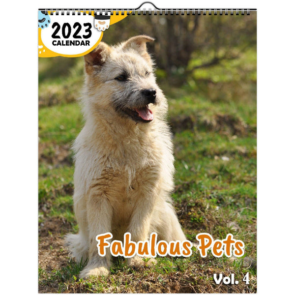 Fabulous Pets Volume Four: 2023 Wall Calendar