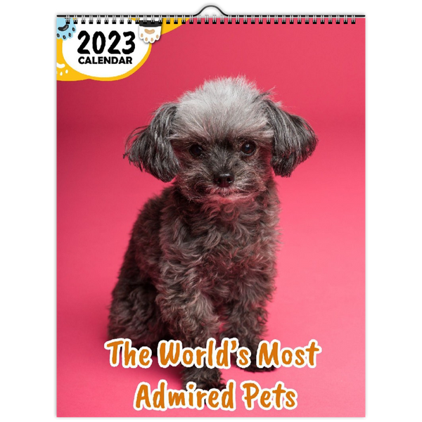 The World's Most Admired Pets: 2023 Wall Calendar