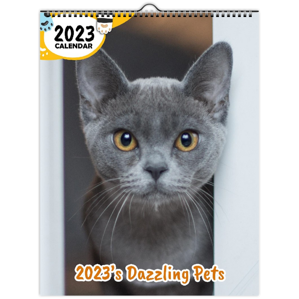 2023's Dazzling Pets: 2023 Wall Calendar