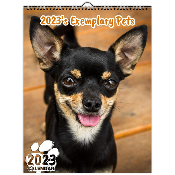 2023's Exemplary Pets: 2023 Wall Calendar