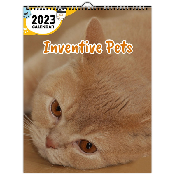 Inventive Pets: 2023 Wall Calendar
