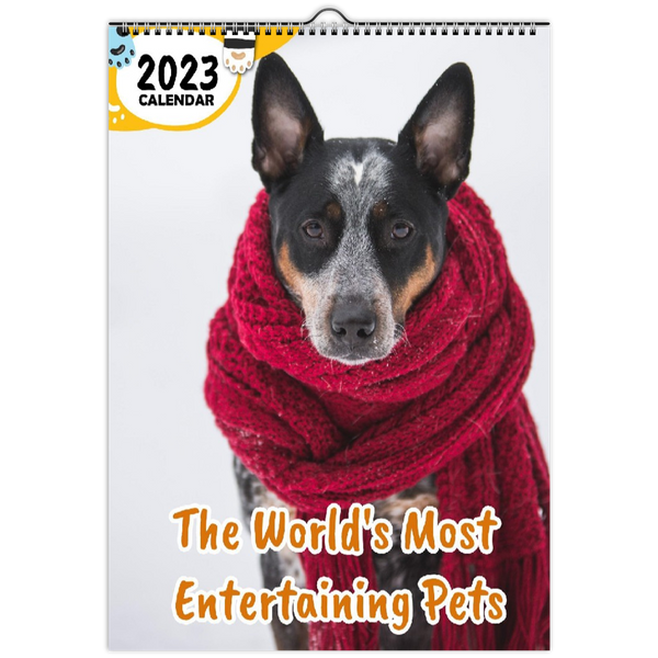 The World's Most Entertaining Pets: 2023 Wall Calendar