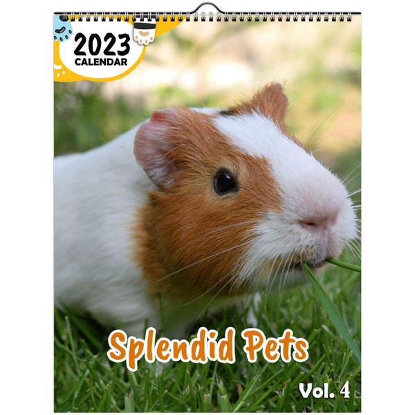 Splendid Pets Volume Four: 2023 Wall Calendar