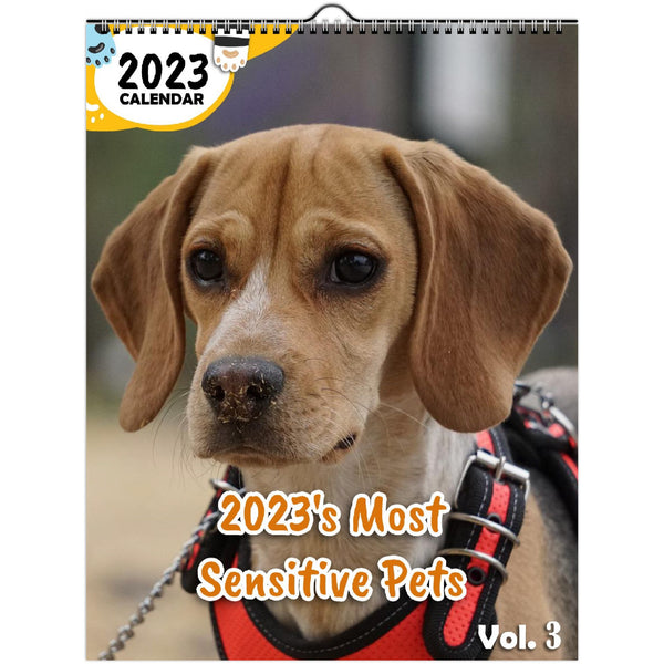 2023's Most Sensitive Pets Volume Three: 2023 Wall Calendar