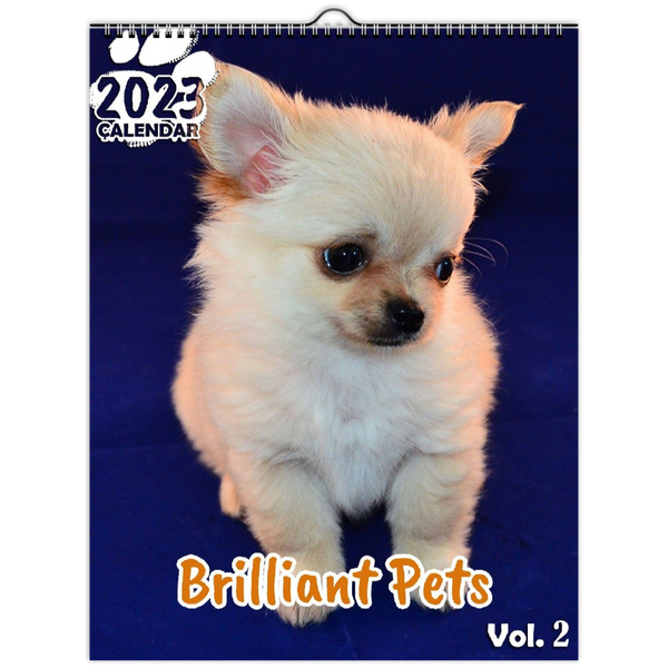 Brilliant Pets Volume Two: 2023 Wall Calendar