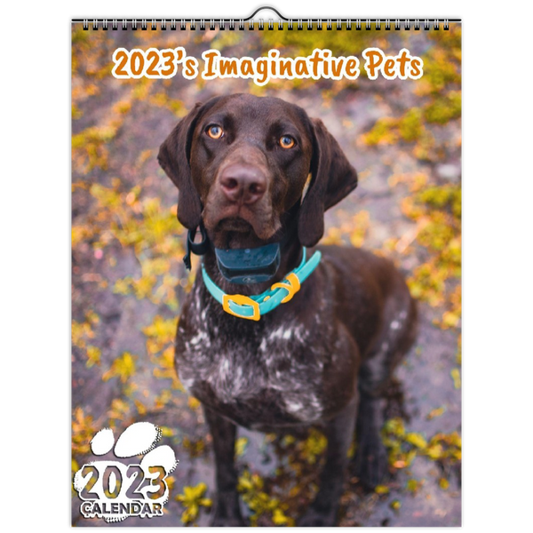 2023's Imaginative Pets: 2023 Wall Calendar