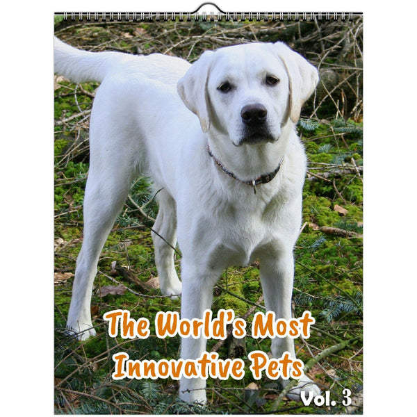 The World's Most Innovative Pets Volume Three: 2023 Wall Calendar