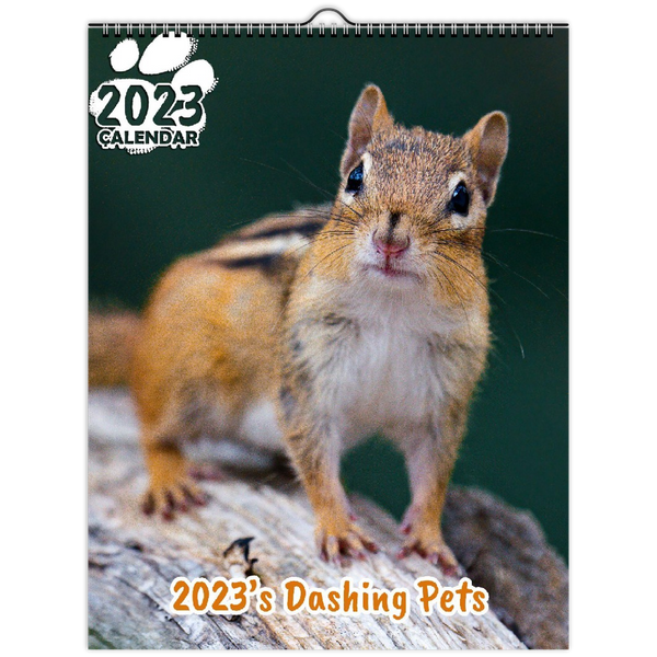 2023's Dashing Pets: 2023 Wall Calendar