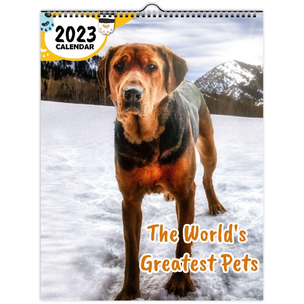 The World's Greatest Pets: 2023 Wall Calendar