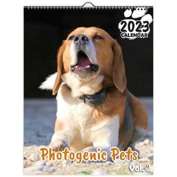 Photogenic Pets Volume Two: 2023 Wall Calendar