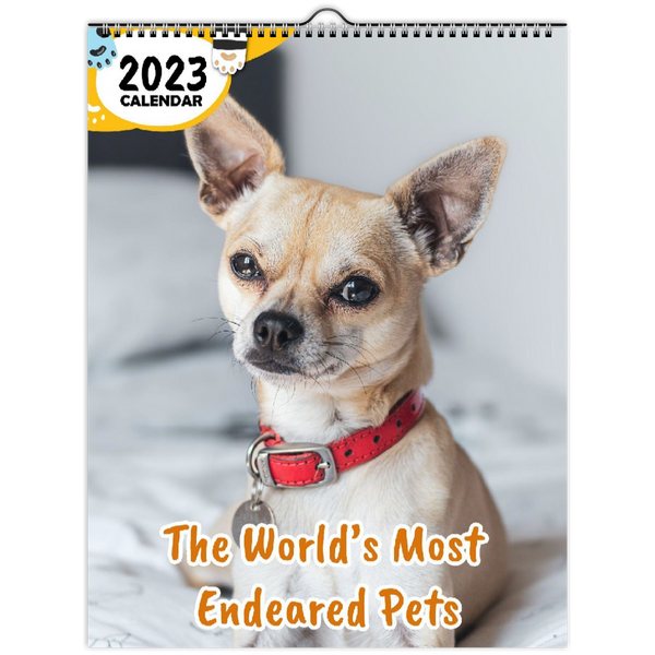 The World's Most Endeared Pets: 2023 Wall Calendar