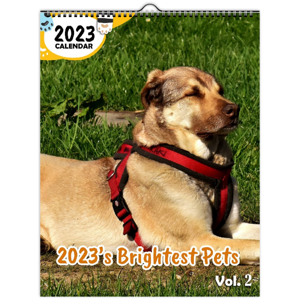 2023's Brightest Pets Volume Two: 2023 Wall Calendar