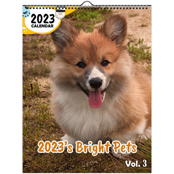 2023's Bright Pets Volume Three: 2023 Wall Calendar