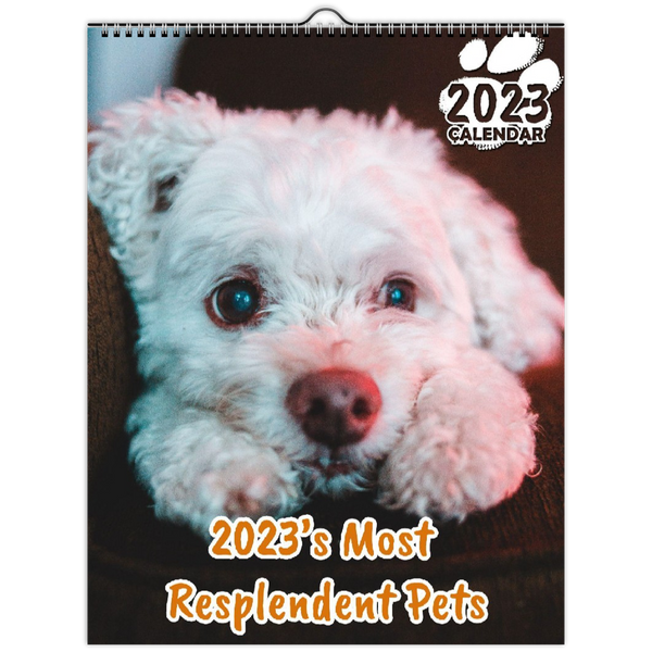 2023's Most Resplendent Pets: 2023 Wall Calendar