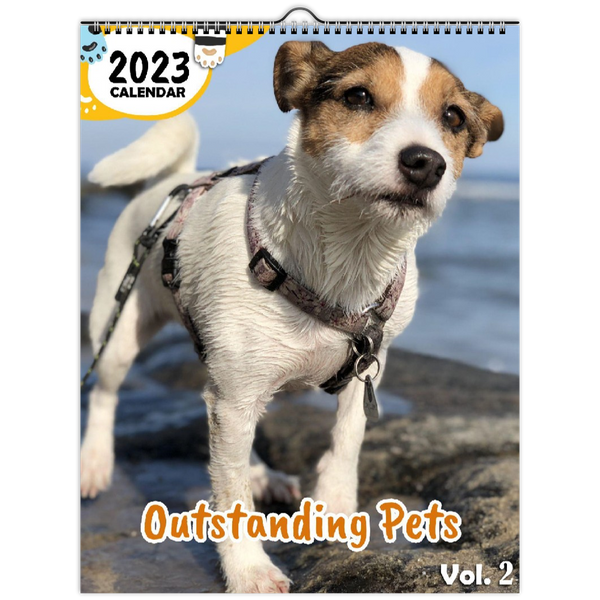 Outstanding Pets Volume Two: 2023 Wall Calendar