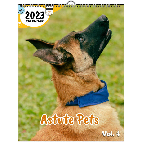 Astute Pets Volume Four: 2023 Wall Calendar