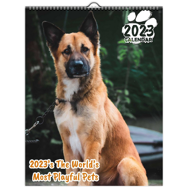 2023's The World's Most Playful Pets: 2023 Wall Calendar