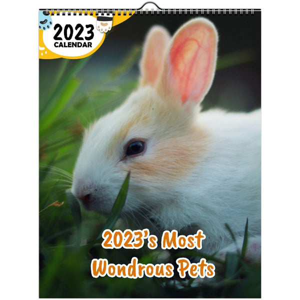 2023's Most Wondrous Pets: 2023 Wall Calendar