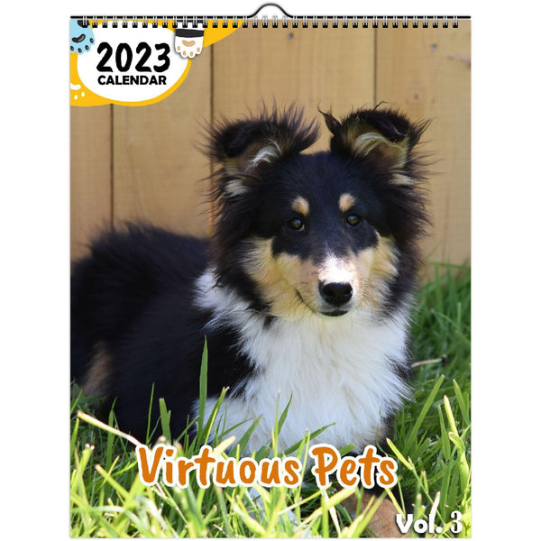 Virtuous Pets Volume Three: 2023 Wall Calendar